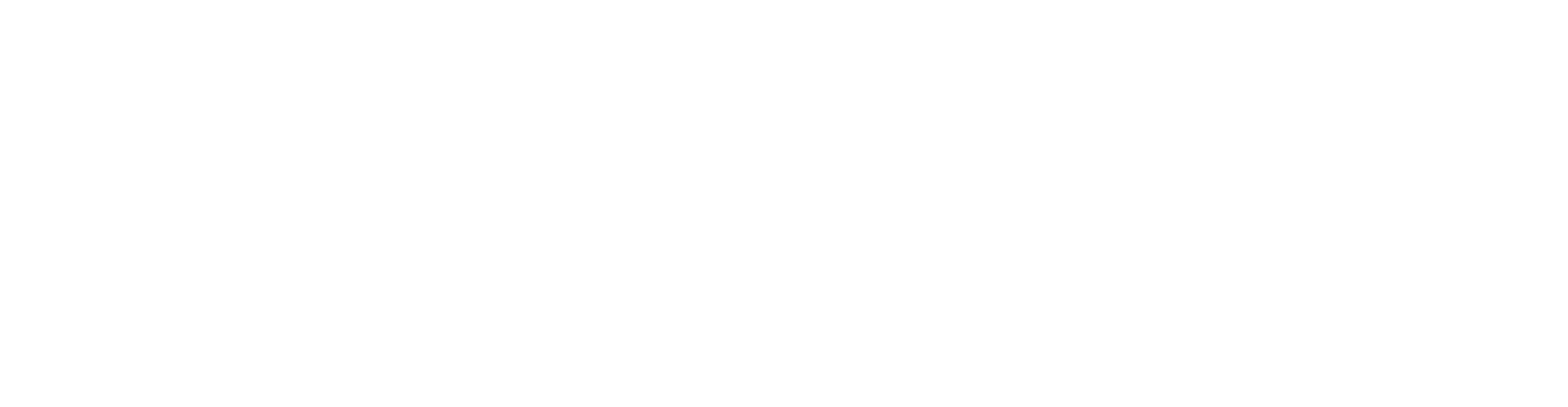 Literacy Pro logo-white - Snapplify Cloud Services